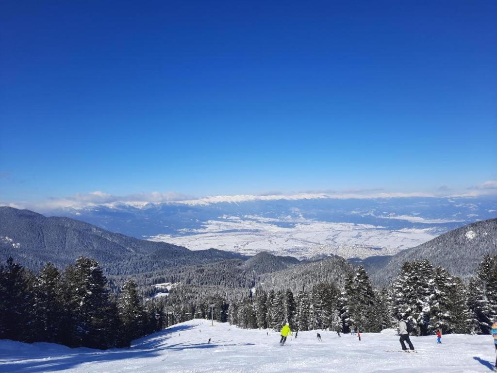 Apartments In Aspen Suites Bansko Værelse billede